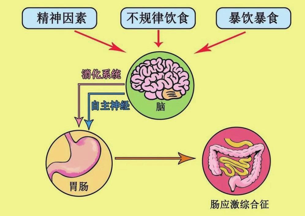 满脑肥肠和脑满肠肥图片